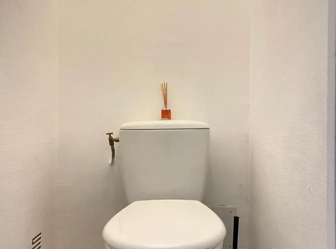 Lumineux Et Traversant Daire Montauban