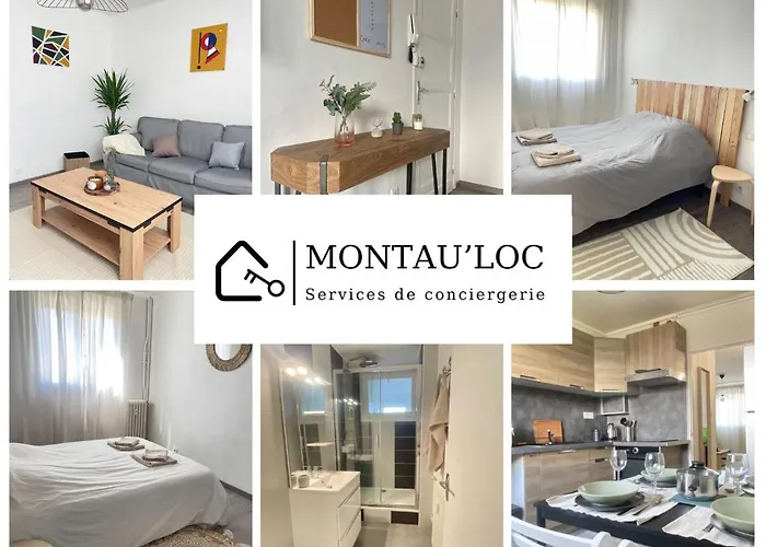 Lumineux Et Traversant * Montauban